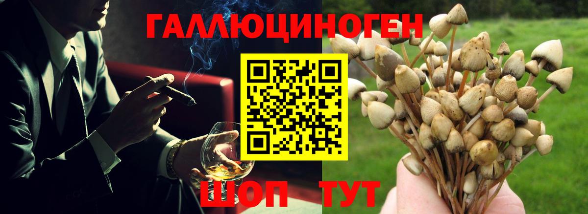 Псилоцибиновые грибы Psilocybe Советский